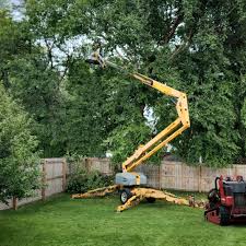 Lawn Irrigation Installation and Maintenance in Machesney Park, IL